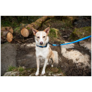 Vôdzka pre psa Mountain Paws Waterproof Dog Lead