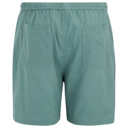 Pánske kraťasy Regatta Hadlin Shorts
