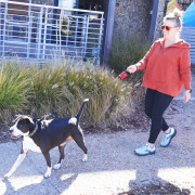 Vôdzka pre psa Nite Ize RadDog™ Retractable Pocket Leash