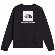 Pánska mikina The North Face M Evolution Box Nse Regular Crew