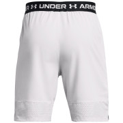 Pánske kraťasy Under Armour Vanish Woven Shorts