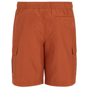 Pánske plavky Regatta Blanmont Swim Short
