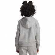 Detská mikina Under Armour Rival Fleece Crop Hoodie