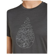 Dámske tričko Icebreaker Women Merino 150 Tech Lite SS Tee Hike Path