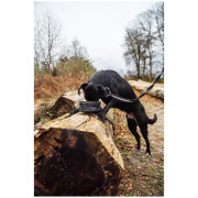 Miska pre psa Mountain Paws Collapsible Dog Food Bowl