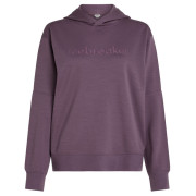 Dámska funkčná mikina Icebreaker W Mer 360 RealFleece Elemental LS Hood fialová Grey Plum