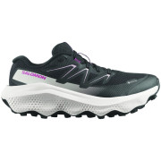 Dámske bežecké topánky Salomon Ultra Flow 2 Gore-Tex
