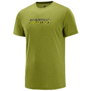 Pánske triko Salomon Agile Graphic Tee M-avocado heat