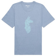 Pánske tričko Cotopaxi Into the Pines T-Shirt modrá foam