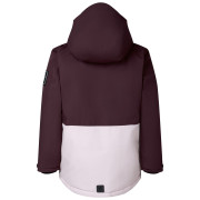 Detská bunda Dare 2b Wing It Jacket Hucklbr/PkHz