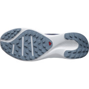 Pánske topánky Salomon Sense Flow 2
