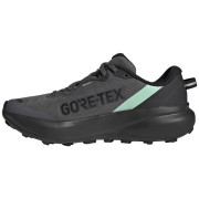 Dámske bežecké topánky Adidas Terrex Tracefinder Plus Gtx