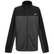 Pánska mikina Regatta Highton Full Zip Midlayer sivá Ash/Black