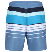 Pánske kraťasy Regatta Loras Swim Short m