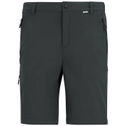Pánske nohavice Regatta Anti-Insect Travel Light Z/O Trousers