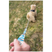 Vôdzka pre psa Curli Ultra Strong Pocket Leash