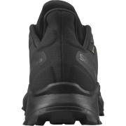Pánske topánky Salomon Alphacross 3 Gore-Tex