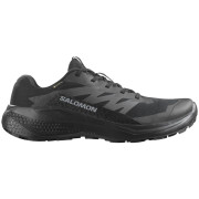 Pánske topánky Salomon Alphaglide Gore-Tex