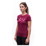 Dámske funkčné tričko Sensor Merino Active Songbirds