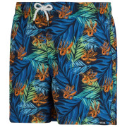 Pánske plavky Regatta Loras Swim Short