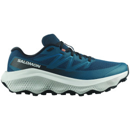 Pánske topánky Salomon Ultra Flow 2