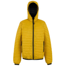 Pánska bunda Regatta Rigain