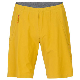 Pánske kraťasy Hannah Track