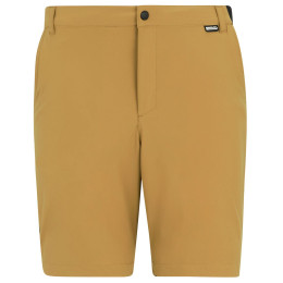 Pánske kraťasy Regatta Anti-Insect Travel Light Shorts hnedá Wood Brown