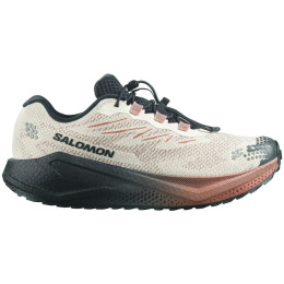 Pánske topánky Salomon Aero Blaze 4 Grvl Gtx