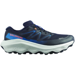 Pánske topánky Salomon Ultra Flow 2 Gore-Tex