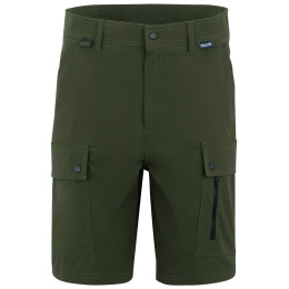 Pánske kraťasy Regatta Arlery Shorts tmavozelená Dark Khaki