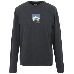 Pánske tričko Regatta Maylow čierna black