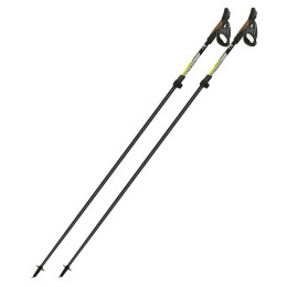 Nordic Walking palice Fizan Tekno