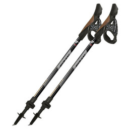 Nordic Walking palice Fizan R-Evolution