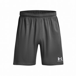 Pánske kraťasy Under Armour M's Ch. Knit Short sivá/zelená Gray