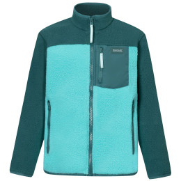 Detská funkčná mikina Regatta Junior Frankie Warm Fleece Mediterranea/Turquoise Hraško. zelená/tm. zelená Mediterranea/Turquoise
