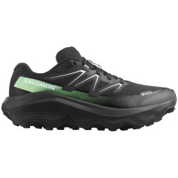 Pánske topánky Salomon Ultra Flow 2 Gore-Tex