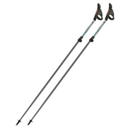 Nordic Walking palice Fizan NW Carbon Pro Impulse