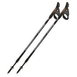 Palice Fizan NW Speed