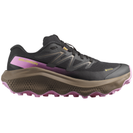 Dámske bežecké topánky Salomon Ultra Flow 2 Gore-Tex