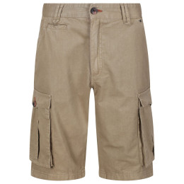 Pánske kraťasy Regatta Shorebay Short