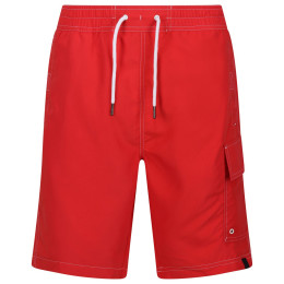 Pánske kraťasy Regatta Hotham BdShort IV