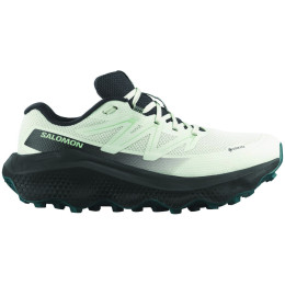 Dámske bežecké topánky Salomon Ultra Flow 2 Gore-Tex