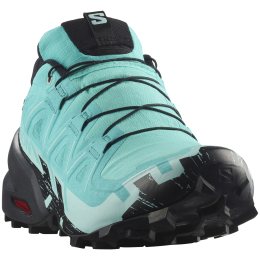 Dámske topánky Salomon Speedcross 6 Gore-Tex