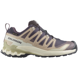 Dámske turistické topánky Salomon Xa Pro 3D V9 Gore-Tex béžová Nine Iron / Oxford Tan / Alfalfa