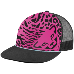 Šiltovka Dynafit Graphic Trucker Cap