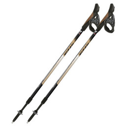 Palice Fizan NW Speed