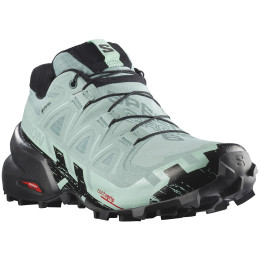 Dámske bežecké topánky Salomon Speedcross 6 Gore-Tex