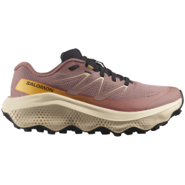 Dámske bežecké topánky Salomon Ultra Flow 2 Gore-Tex