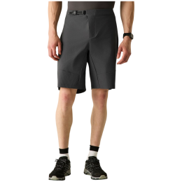 Pánske kraťasy Dare 2b Descent Short